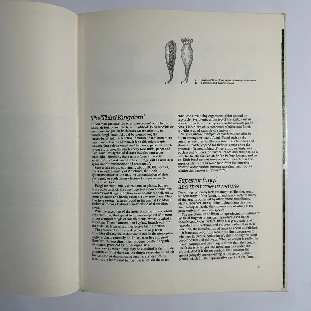 Color Treasury of Mushrooms and Toadstools How To Find And Identify Them 1972